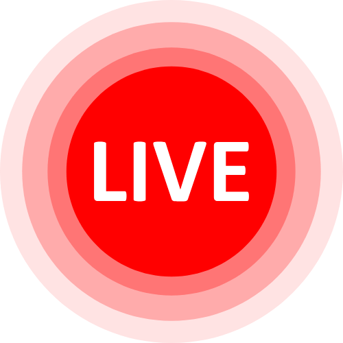 1on1 Adult Cams